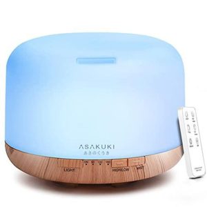 Asakuki Rock Essential Oil Diffuser