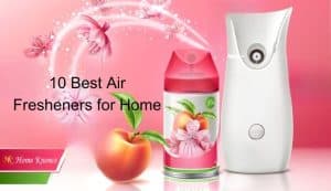 Best Air Fresheners for Home