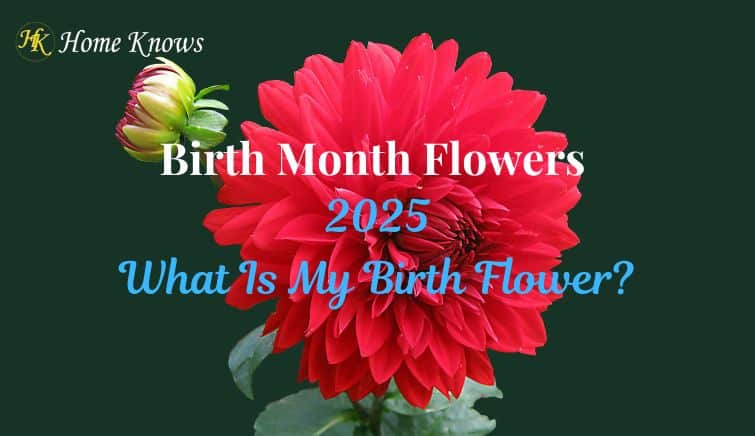 Birth Flowers