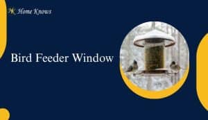 bird feeder window