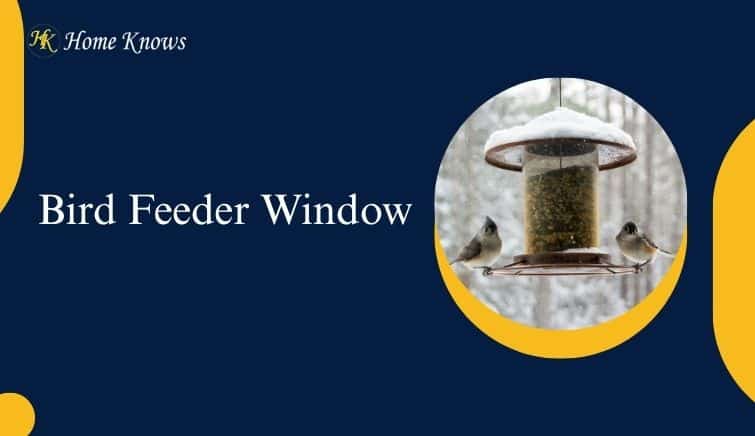 bird feeder window